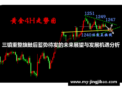 三镇重整旗鼓后蓄势待发的未来展望与发展机遇分析