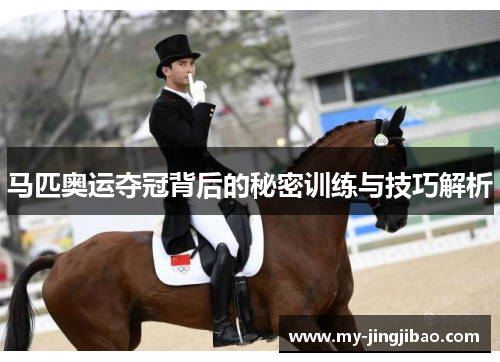 马匹奥运夺冠背后的秘密训练与技巧解析