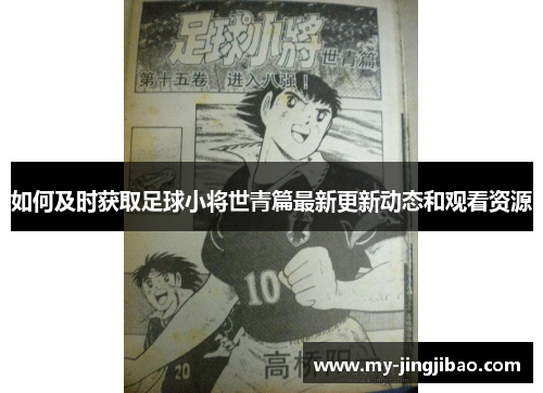如何及时获取足球小将世青篇最新更新动态和观看资源